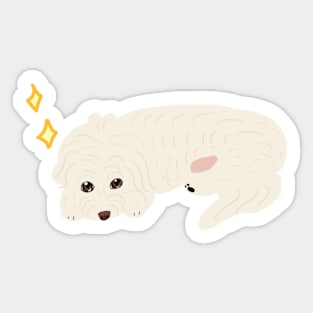 Maltipoo Cute Face Sticker